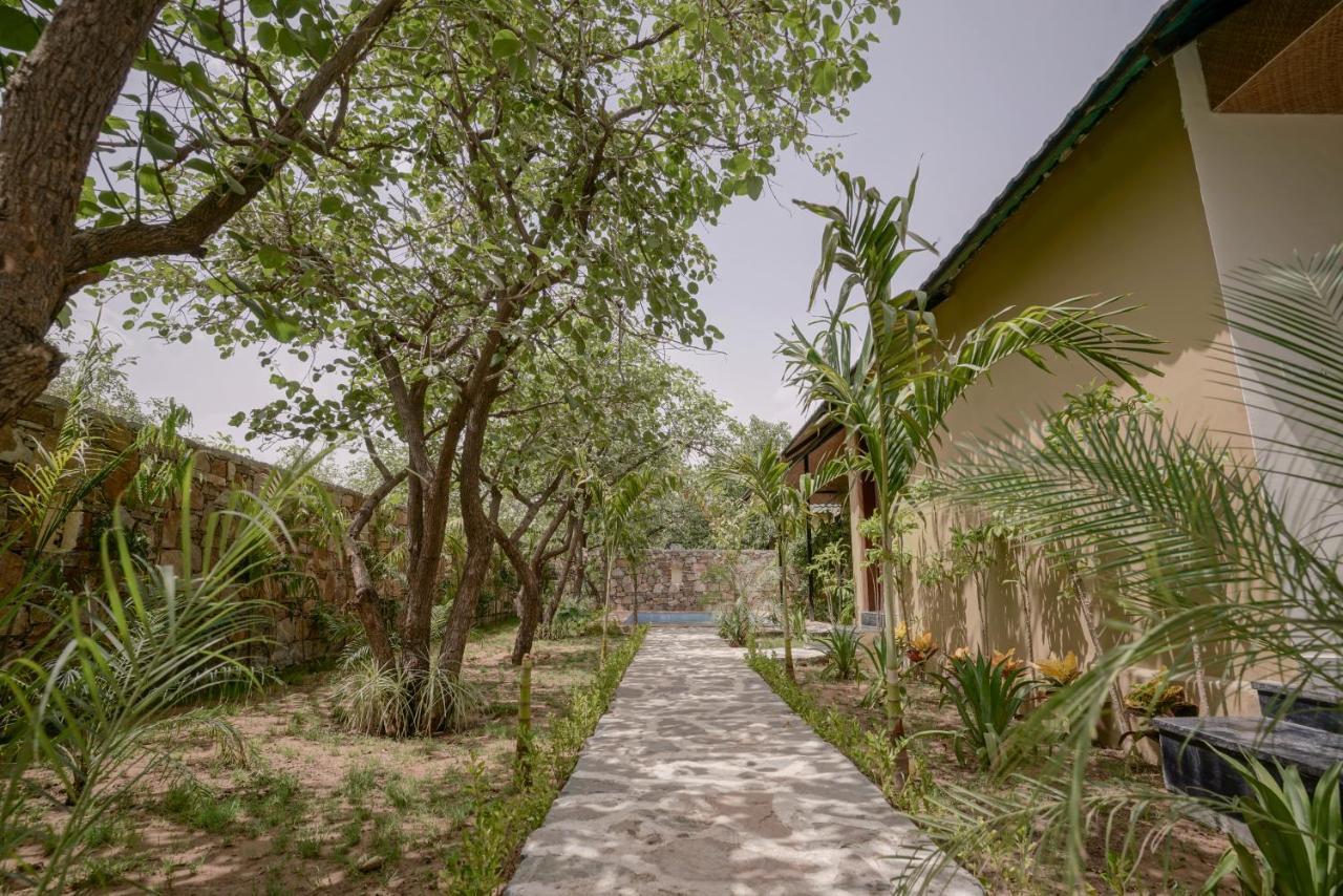 Nature Village Resort Pushkar Zewnętrze zdjęcie