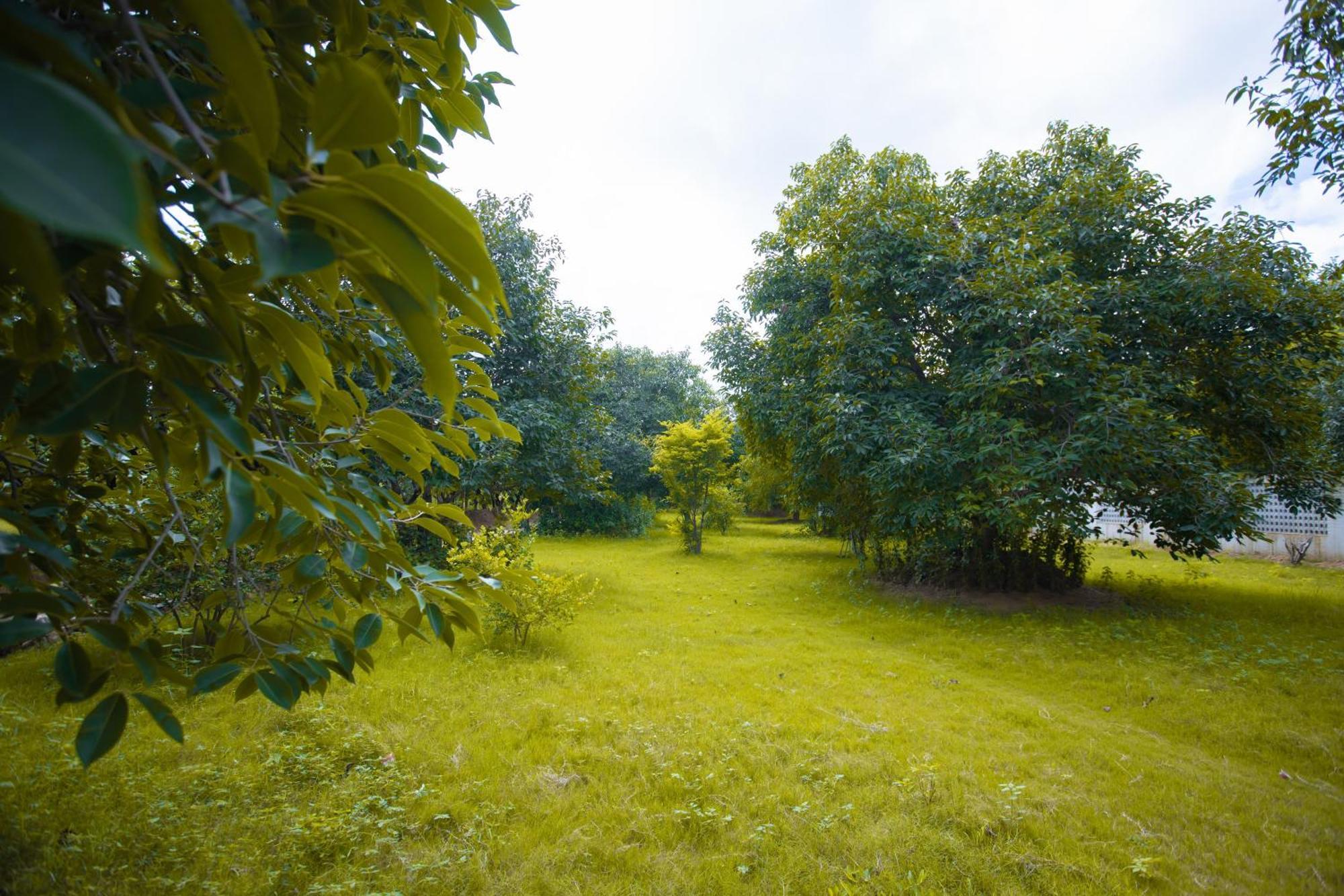 Nature Village Resort Pushkar Zewnętrze zdjęcie
