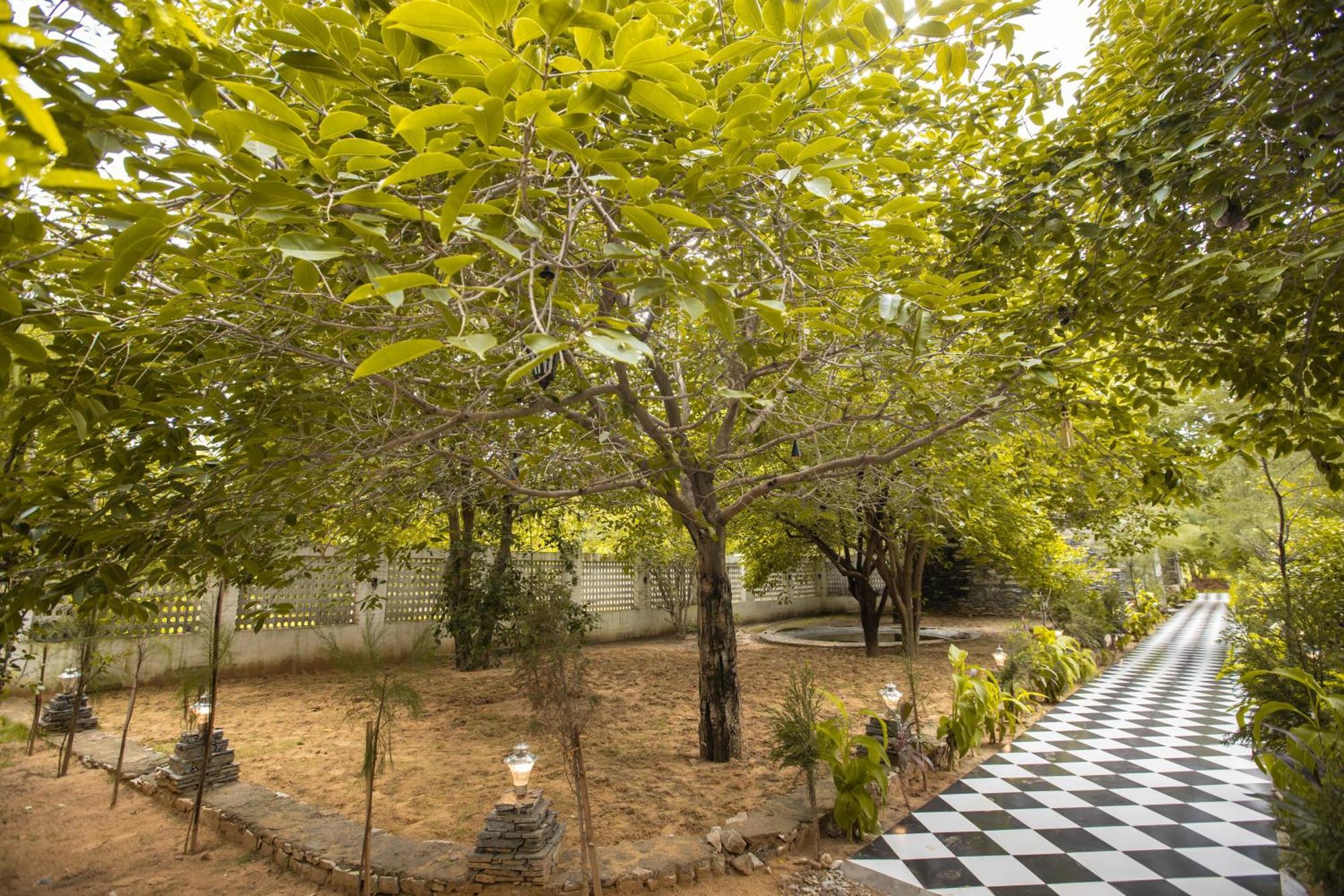 Nature Village Resort Pushkar Zewnętrze zdjęcie